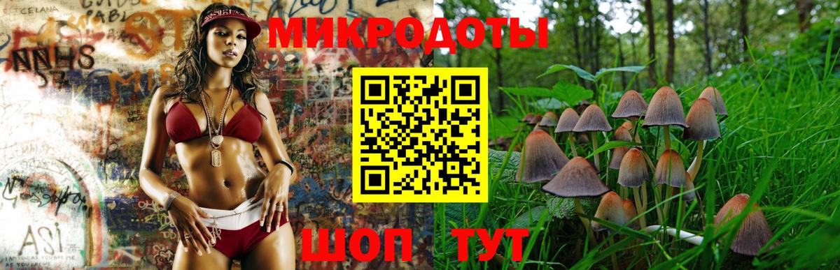Псилоцибиновые грибы прущие грибы Симферополь