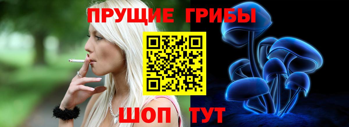 Псилоцибиновые грибы Psilocybe  Вход с VPN  Псилоцибиновые грибы Psilocybine cubensis  Симферополь 